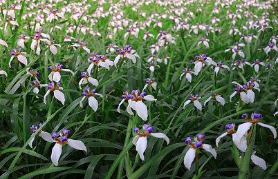 《战地2042》之前 该系列曾每年给EA创收10亿美元